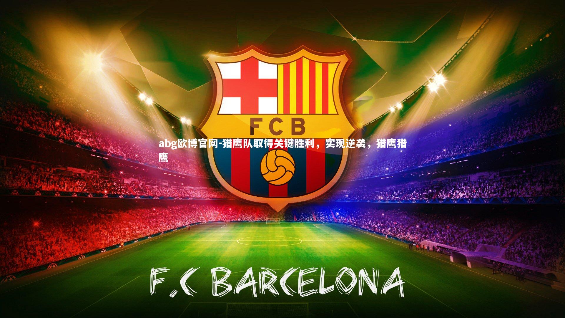 猎鹰队取得关键胜利,实现逆袭,猎鹰猎鹰